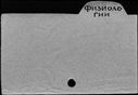 00988973.jpg
