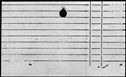 00989178.jpg