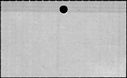 00991884.jpg