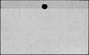 00992408.jpg