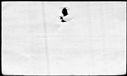 00995068.jpg