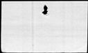 00995154.jpg