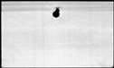00439092.jpg