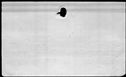 00439116.jpg