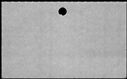 00439558.jpg