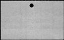 00439592.jpg