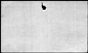00439780.jpg