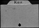 00447697.jpg