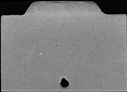 00450314.jpg