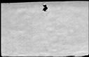00457402.jpg