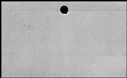00457416.jpg