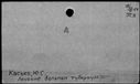 00474518.jpg