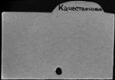 00550129.jpg