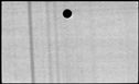 00480788.jpg