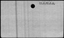 00481010.jpg