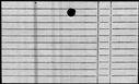 00481406.jpg