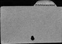 00480029.jpg