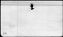 00997390.jpg