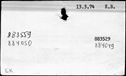 00997826.jpg