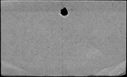 00998050.jpg