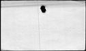 00998108.jpg