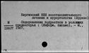 00998119.jpg