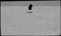 00998194.jpg