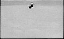 00998270.jpg