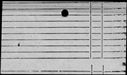 00998566.jpg