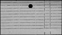 00998604.jpg