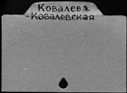 00492857.jpg