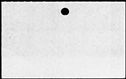 00493496.jpg