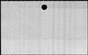 00495856.jpg