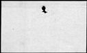 00748232.jpg