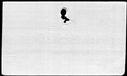 00751136.jpg