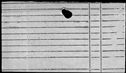 00504190.jpg