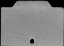 00508904.jpg