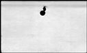 00556548.jpg