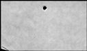 00556866.jpg
