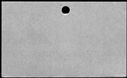 00556960.jpg