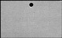 00556978.jpg