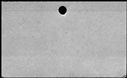 00557092.jpg