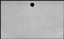 00557188.jpg