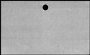 00557202.jpg