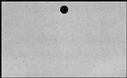 00557806.jpg