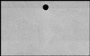 00557892.jpg
