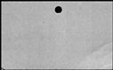 00558038.jpg