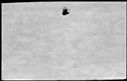 00558050.jpg