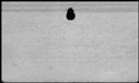 00558130.jpg
