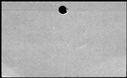 00558528.jpg